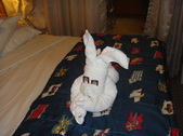 Enlarge photo 147