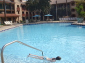 Enlarge photo 174