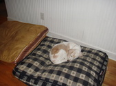 Enlarge photo 196
