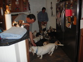 Enlarge photo 198