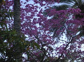 Enlarge photo 233