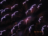 Enlarge photo 61