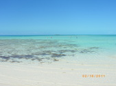 Enlarge photo 113