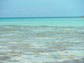 Enlarge photo 117