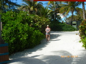 Enlarge photo 121