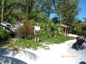 Enlarge photo 122