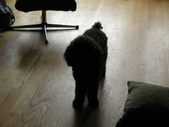 Enlarge photo 6