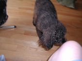 Enlarge photo 8