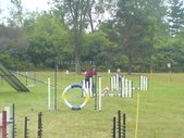 Enlarge photo 53