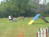 Enlarge photo 54