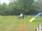 Enlarge photo 56