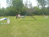 Enlarge photo 60