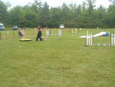 Enlarge photo 62