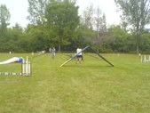 Enlarge photo 64