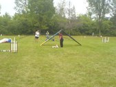 Enlarge photo 66