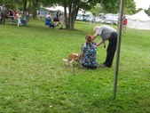 DOG show aug2007
