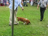 Enlarge photo 16