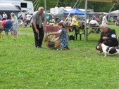 Enlarge photo 23