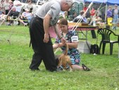 Enlarge photo 24