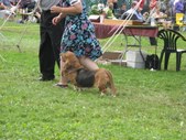 Enlarge photo 26