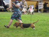 Enlarge photo 27