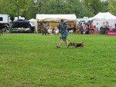 Enlarge photo 29