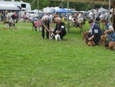 Enlarge photo 30