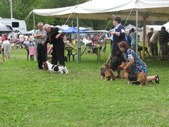 Enlarge photo 31