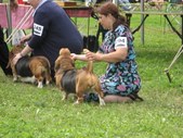Enlarge photo 32
