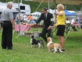 Enlarge photo 33