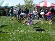Enlarge photo 85