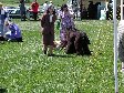 Enlarge photo 86