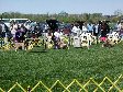 Enlarge photo 88