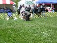 Enlarge photo 93