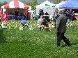 Enlarge photo 91