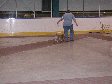 Dog Shows