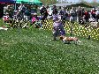 Enlarge photo 84