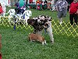 Enlarge photo 36