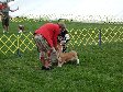 Enlarge photo 46