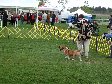Enlarge photo 50