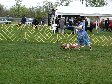 Enlarge photo 51