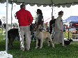 Enlarge photo 38