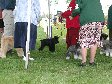 Enlarge photo 39
