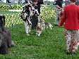 Enlarge photo 41