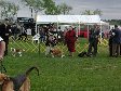 Enlarge photo 42