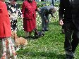 Enlarge photo 43