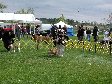 Enlarge photo 44