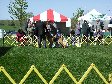 Enlarge photo 54