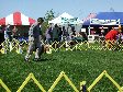Enlarge photo 55