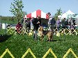 Enlarge photo 56